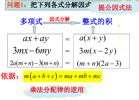 因式分解之提公因式和公式法(整式乘除与因式分解)-2（全五集）